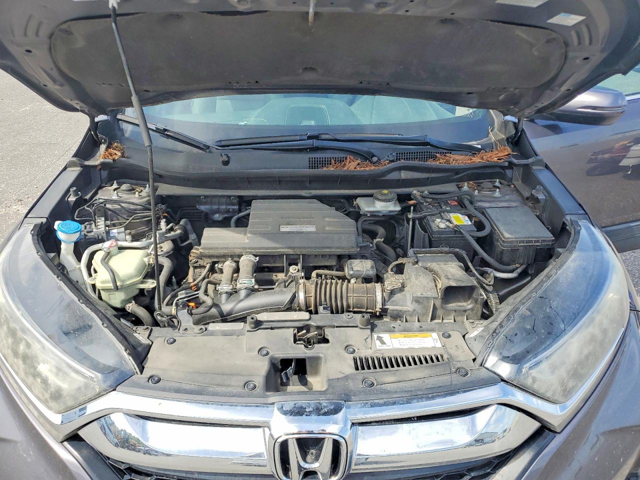 2019 HONDA CRV