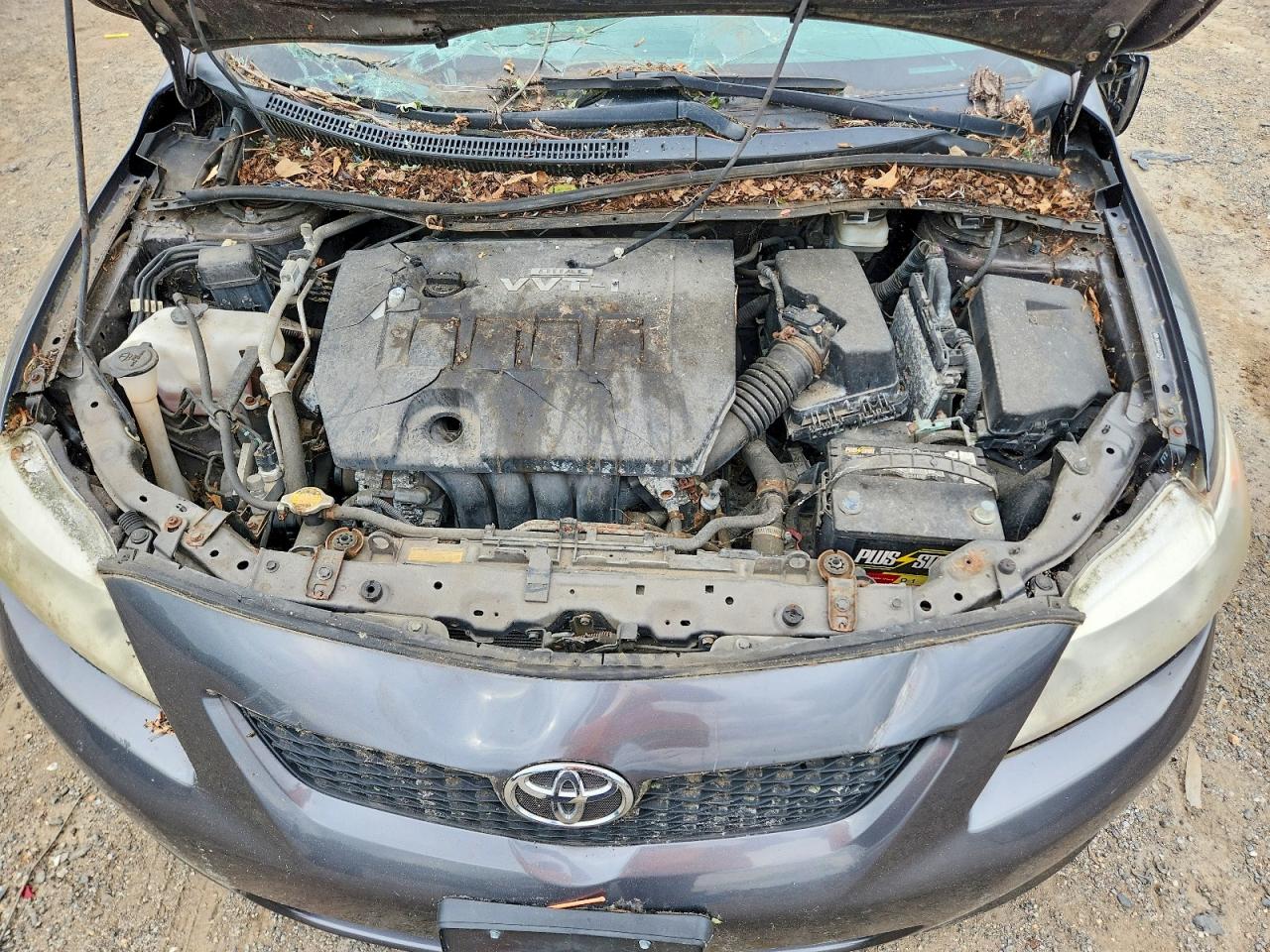 2010 TOYOTA COROLLA