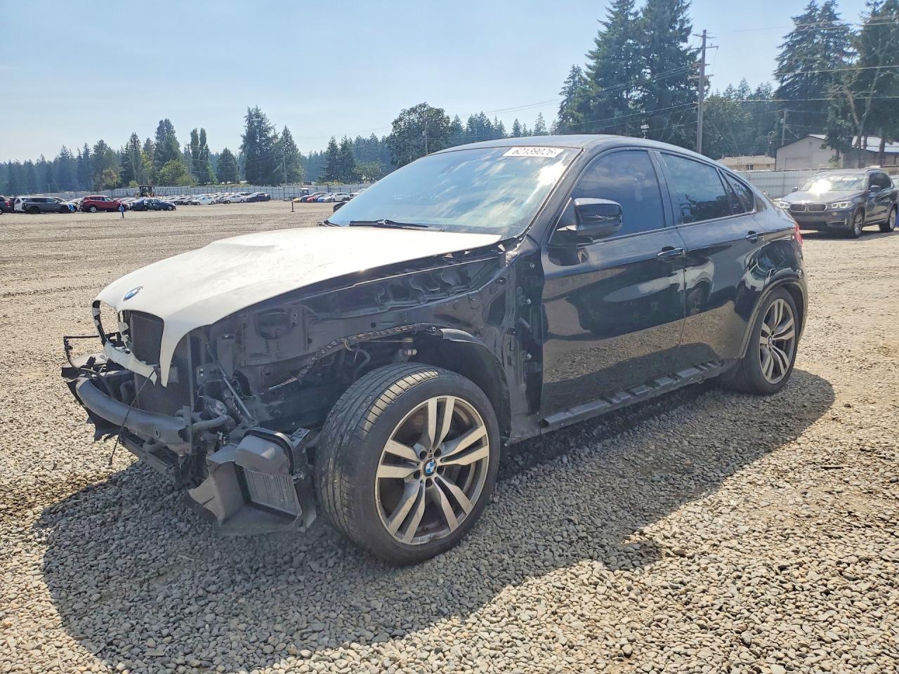 2011 BMW X6