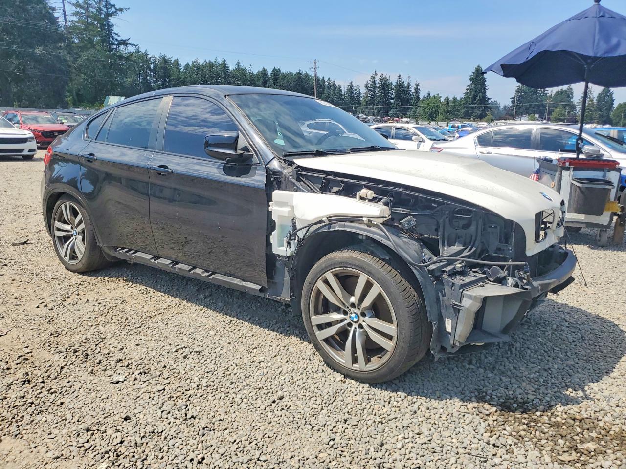 2011 BMW X6