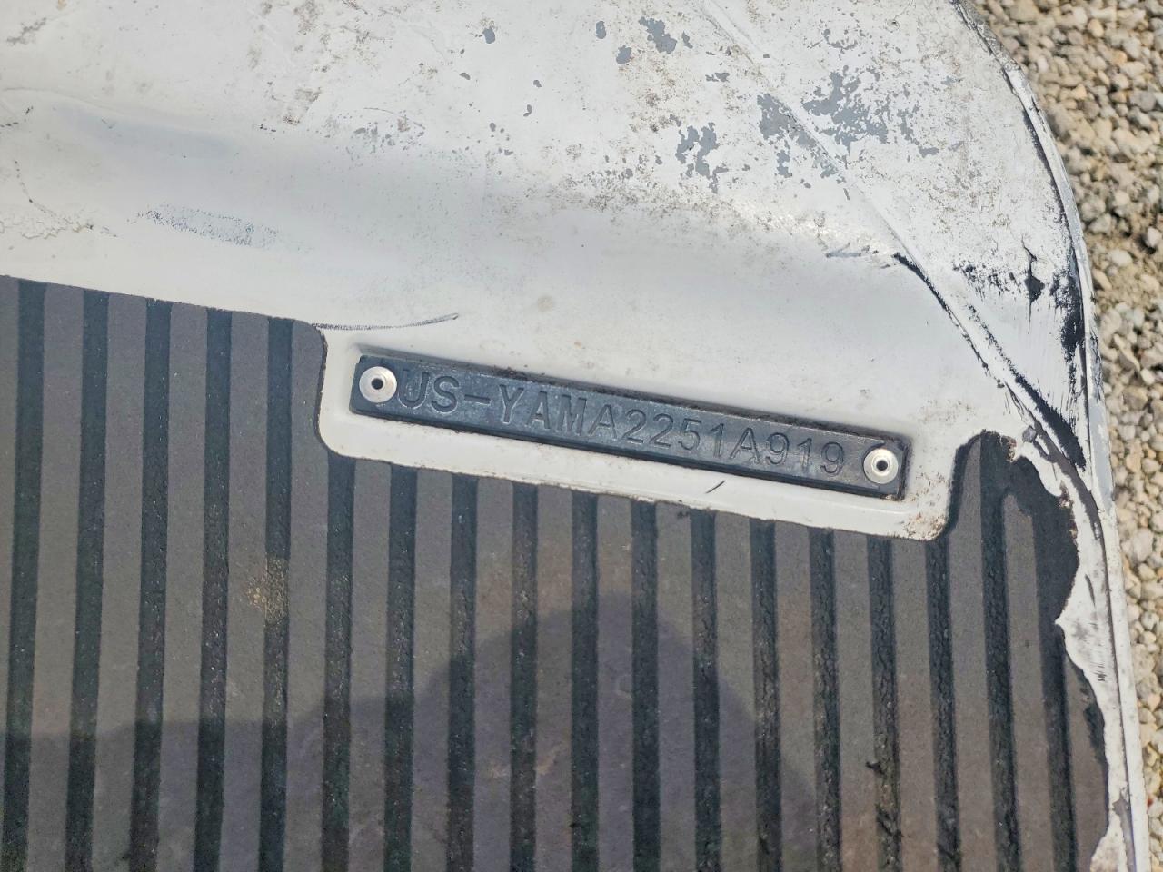 2019 YAMAHA Vx