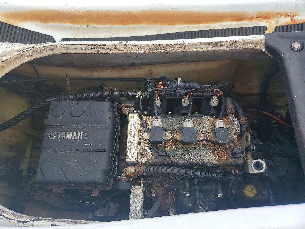 2019 YAM Vx