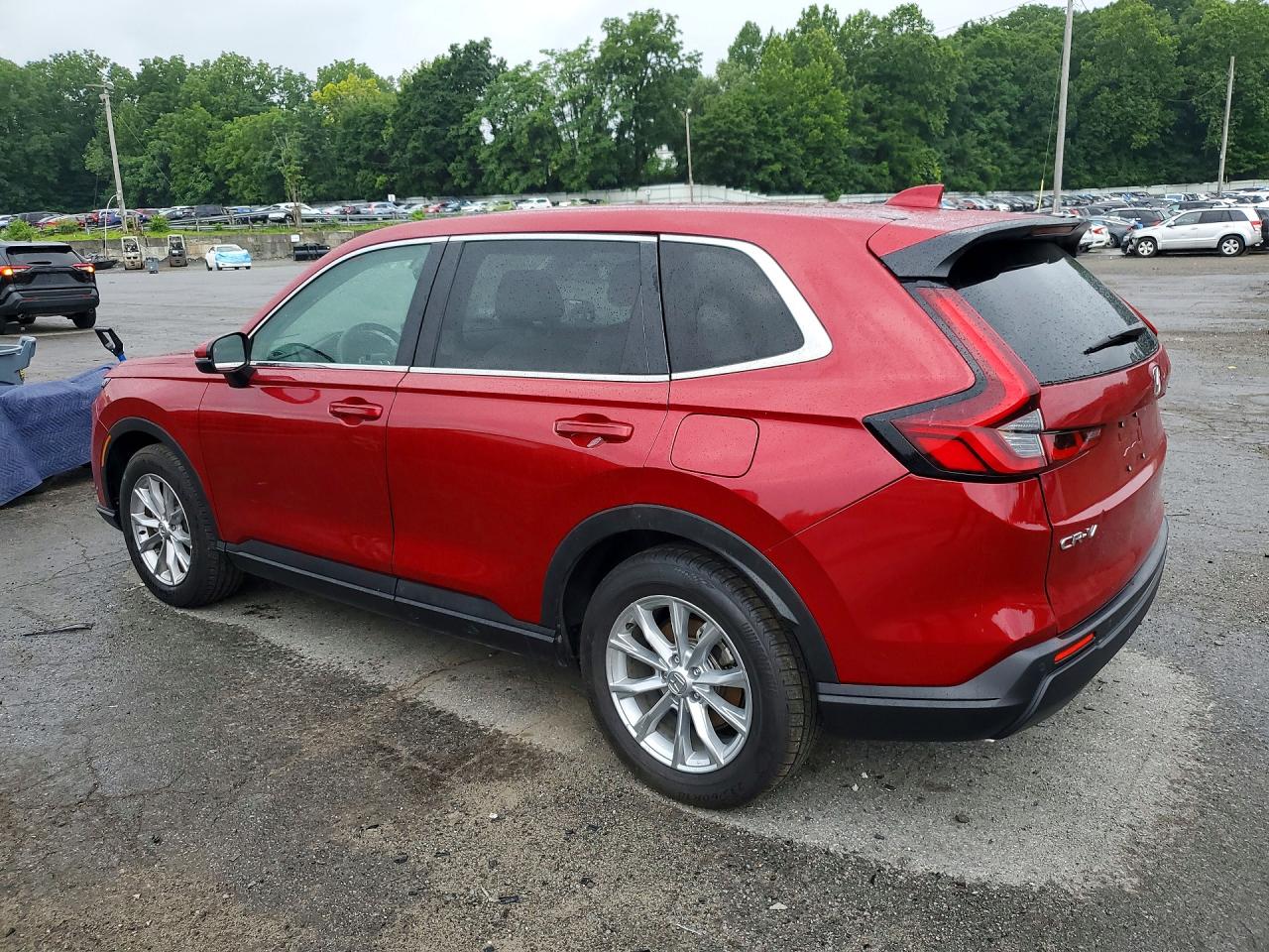 2025 HONDA CRV