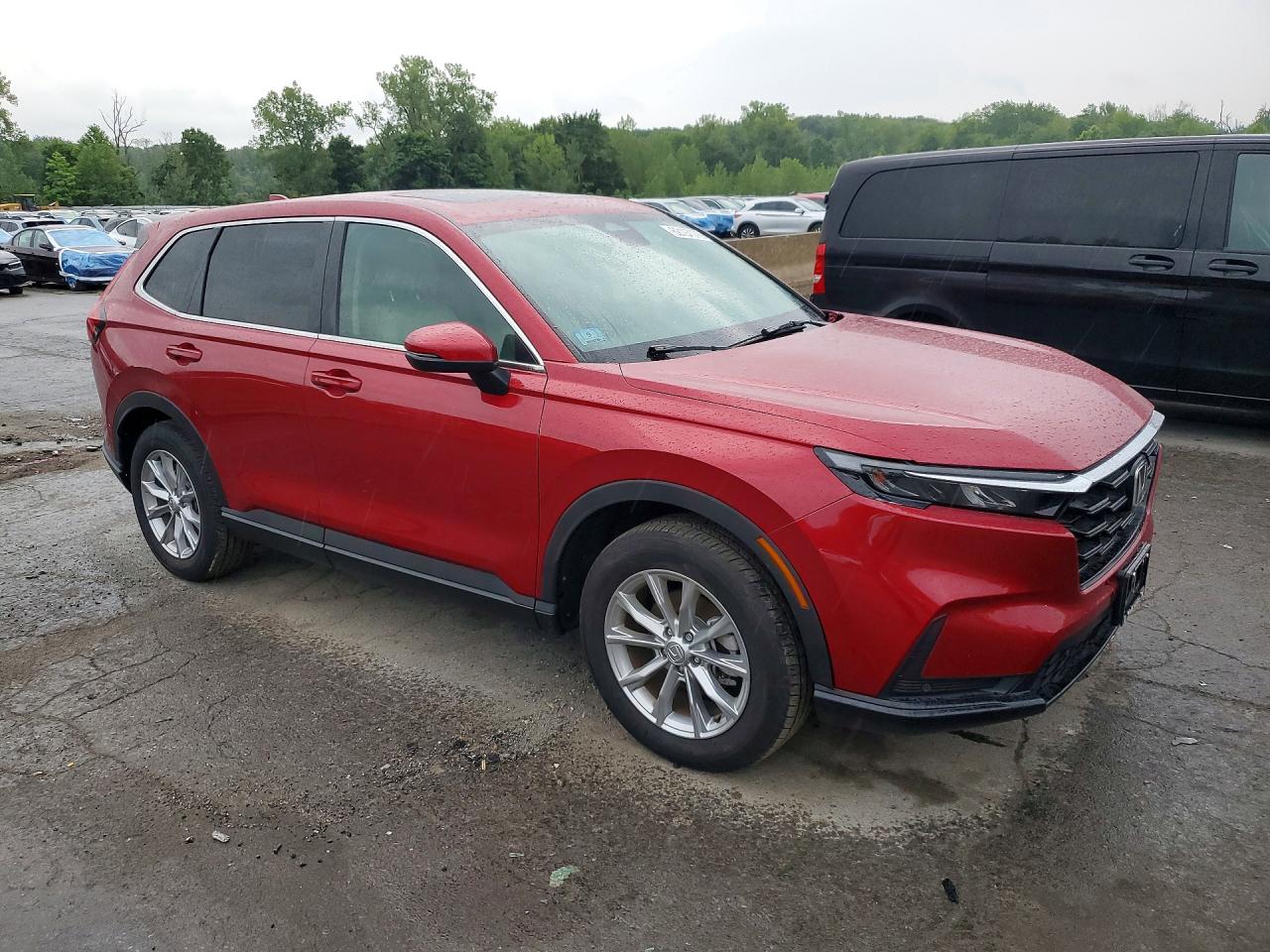 2025 HONDA CRV