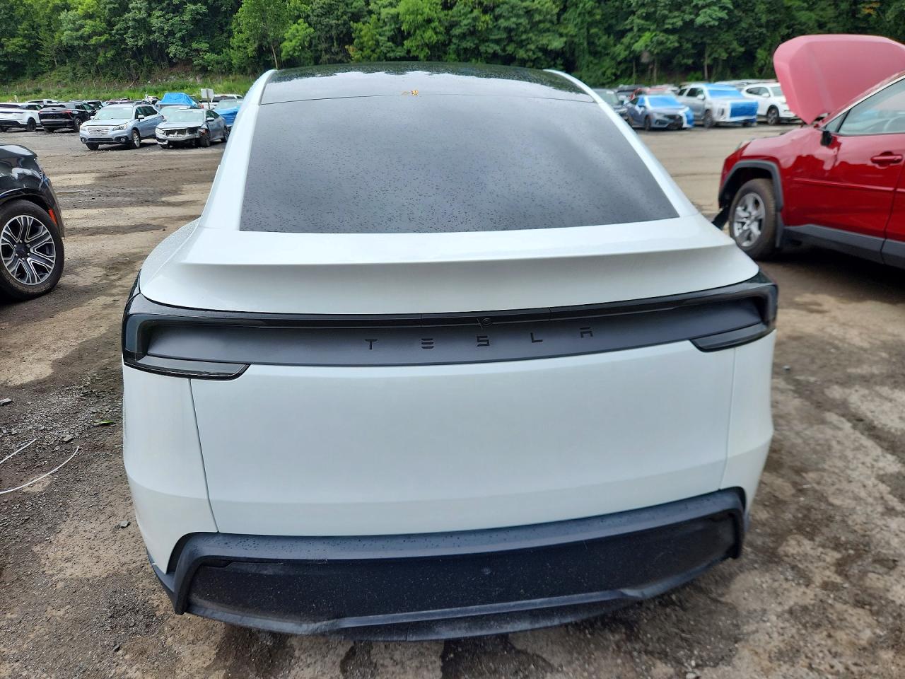2026 TESLA MODEL Y