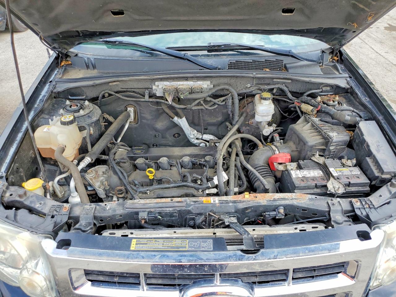 2010 FORD ESCAPE