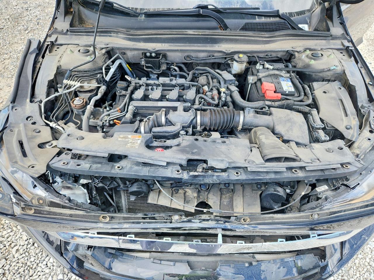 2019 HONDA ACCORD