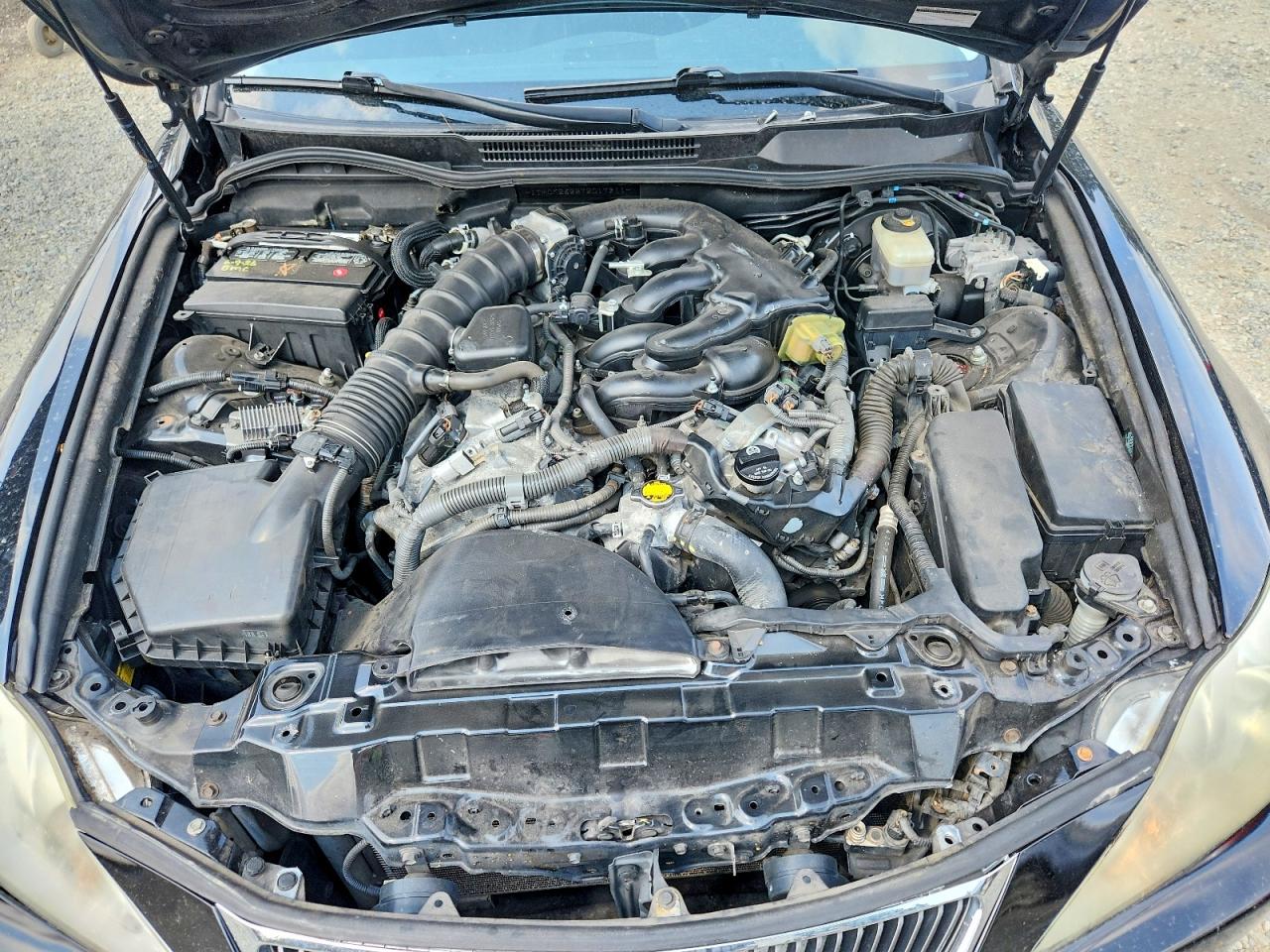2007 LEXUS IS
