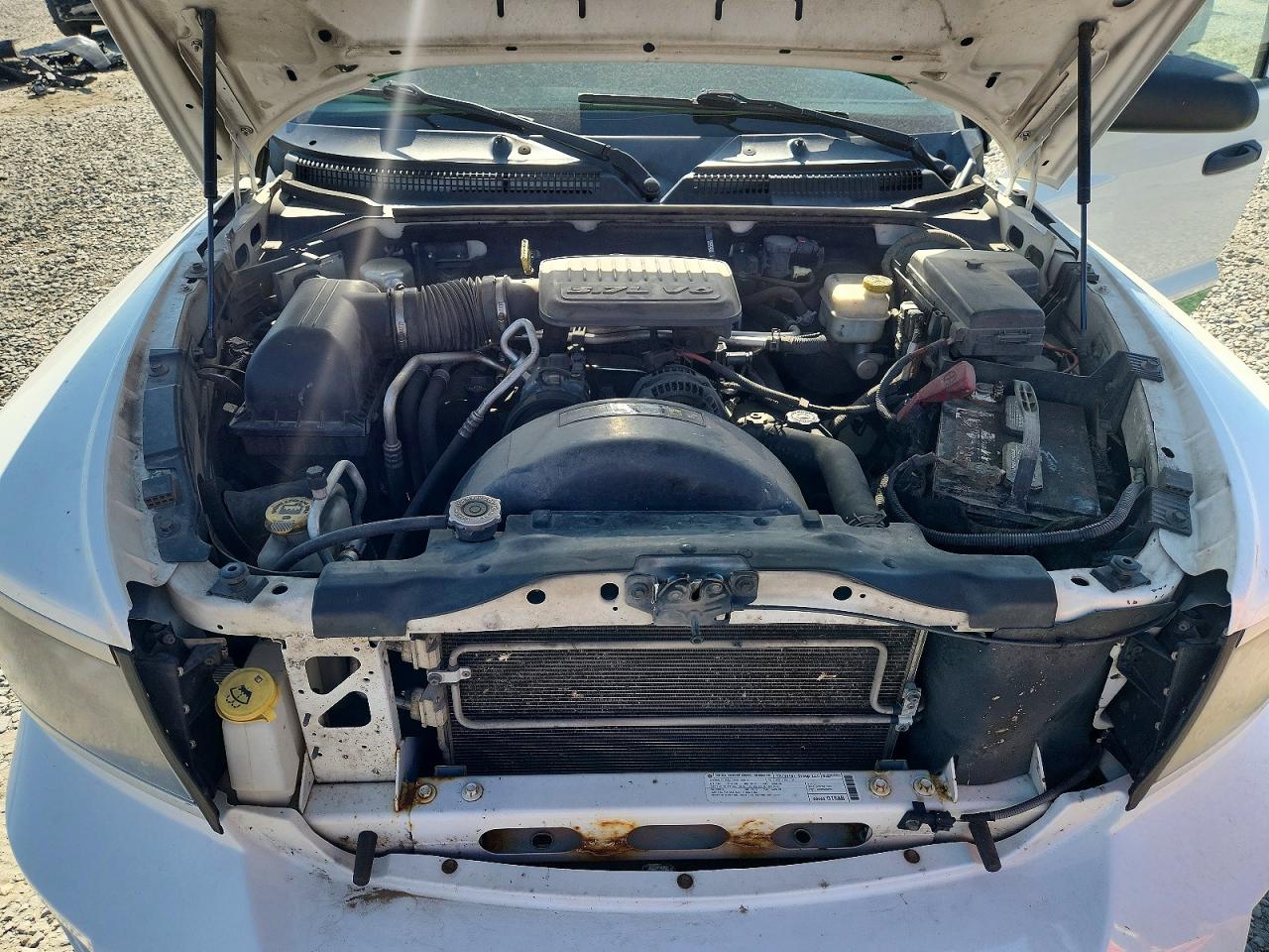 2010 DODGE DAKOTA