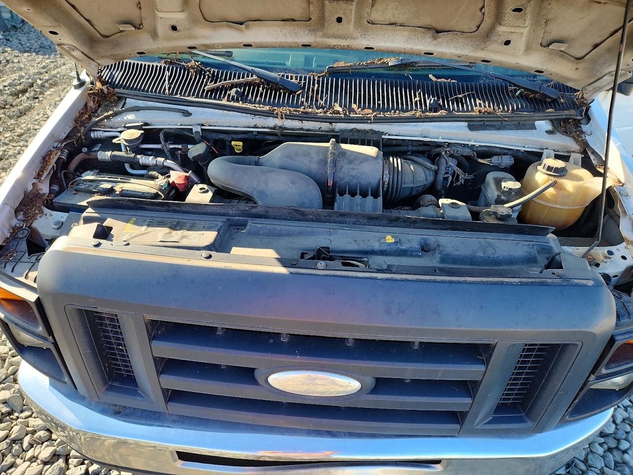 2014 FORD ALL Models