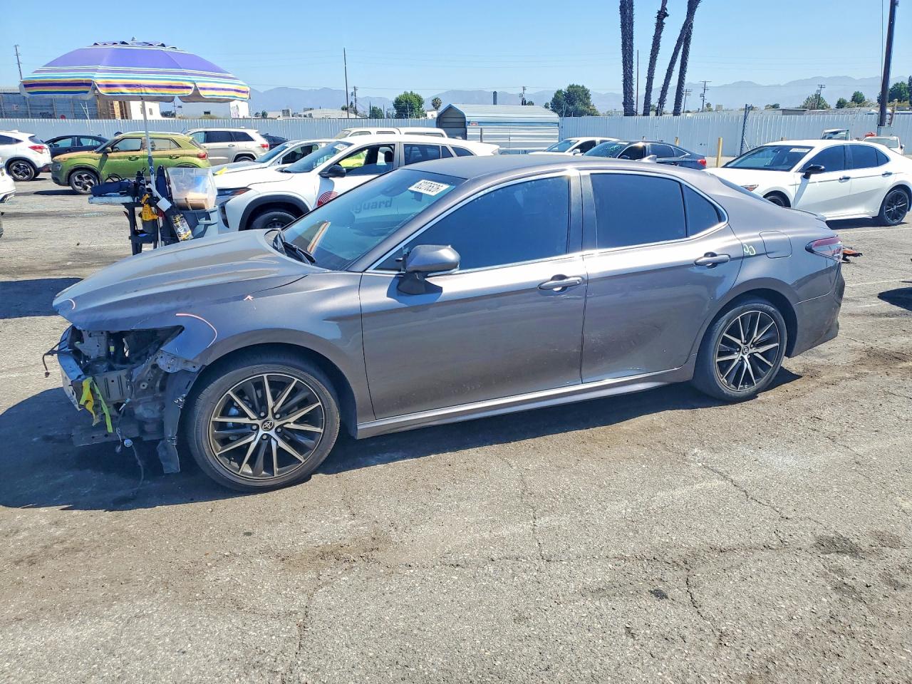 2023 TOYOTA CAMRY