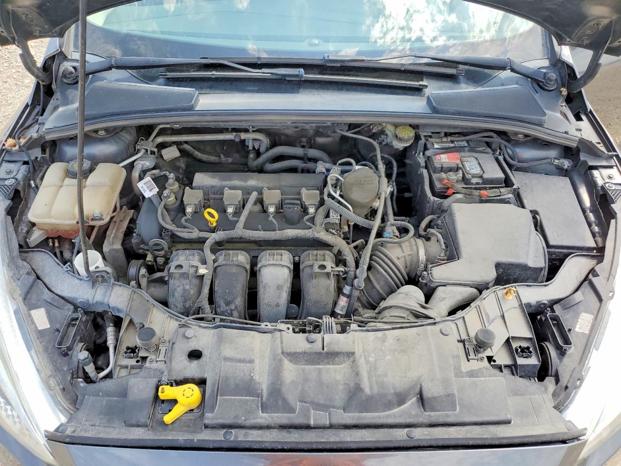 2016 FORD FOCUS