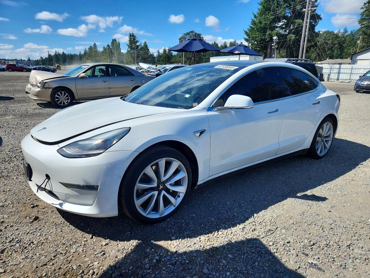 2019 TESLA MODEL 3