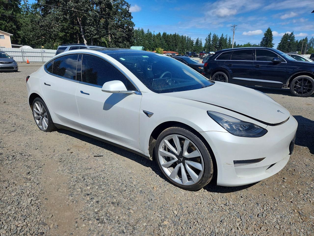 2019 TESLA MODEL 3