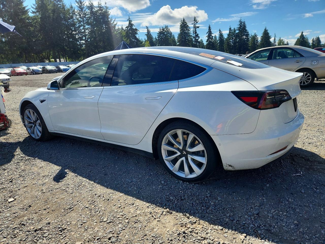 2019 TESLA MODEL 3