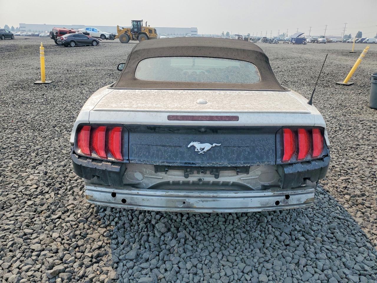2019 FORD MUSTANG