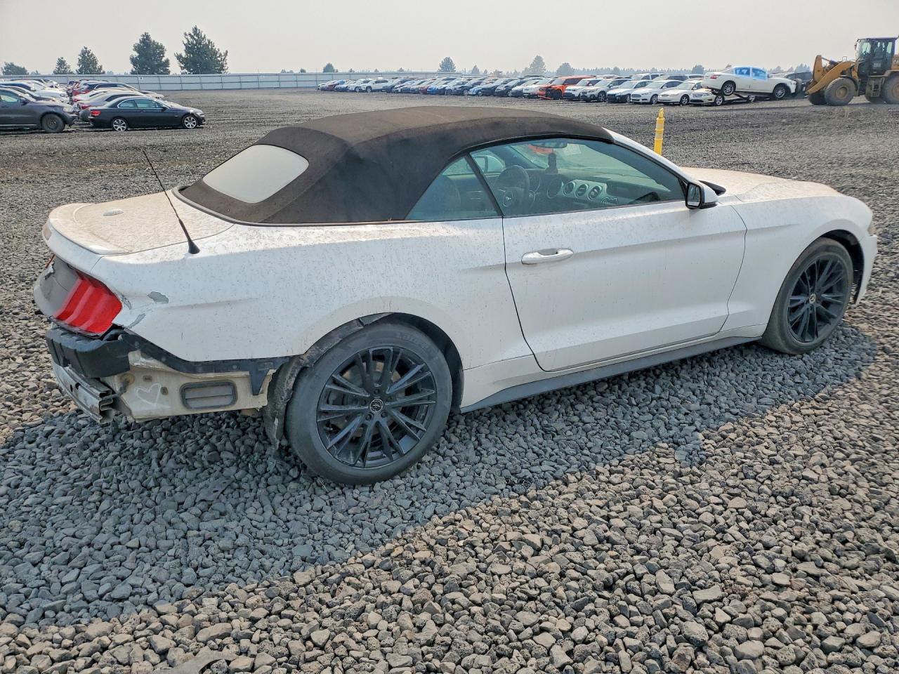 2019 FORD MUSTANG
