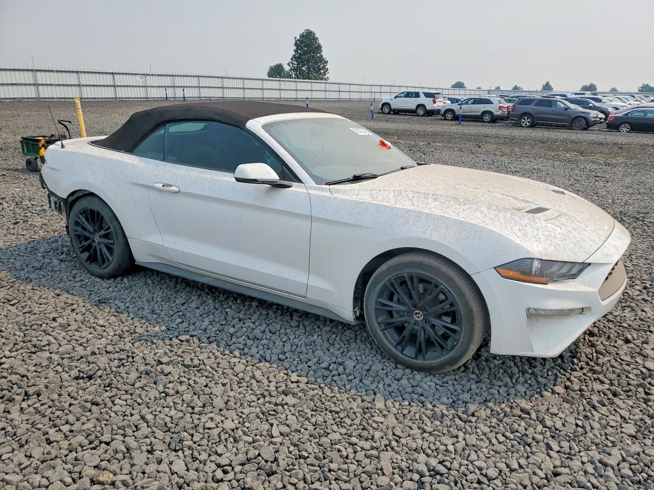 2019 FORD MUSTANG