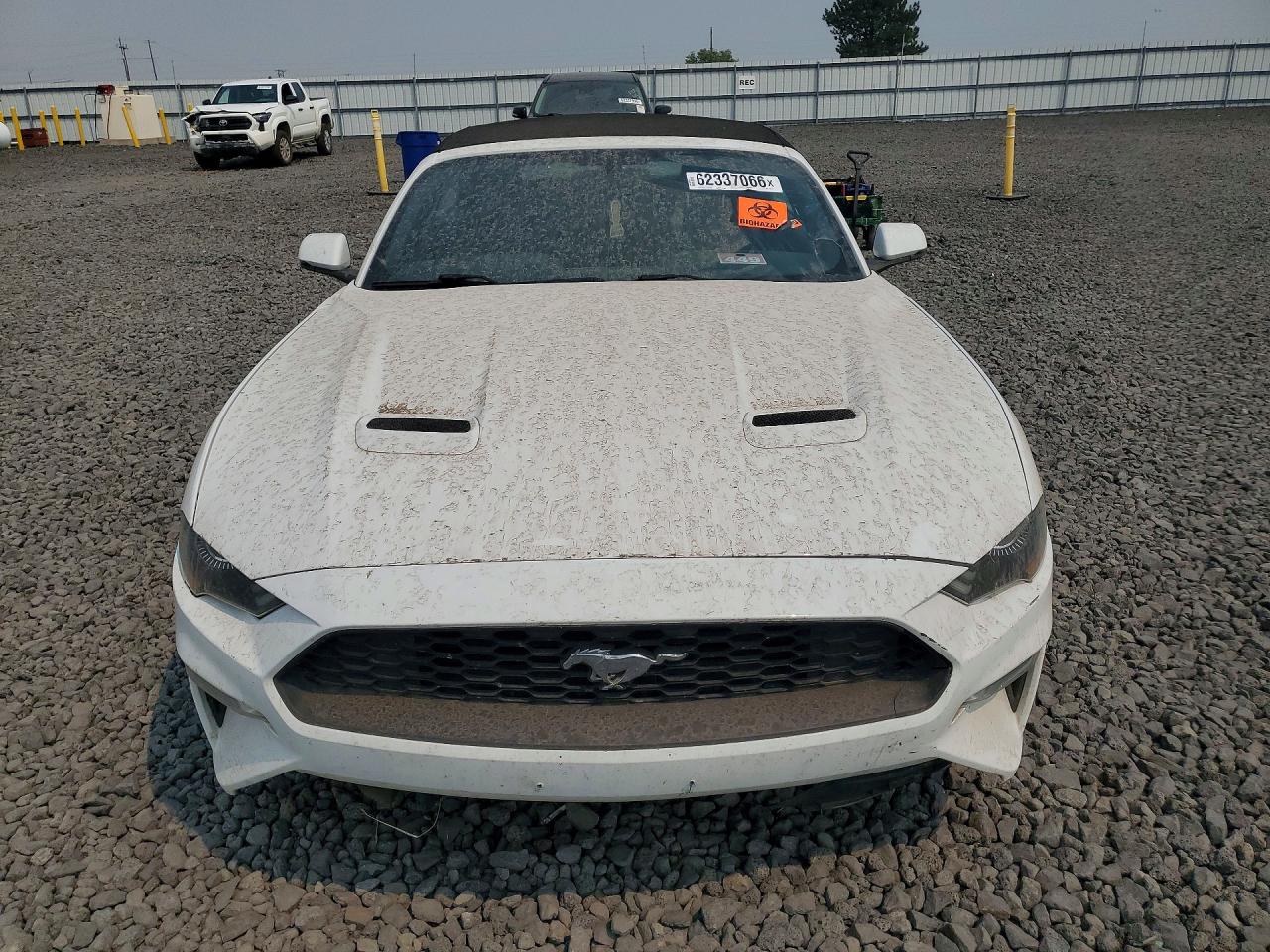 2019 FORD MUSTANG