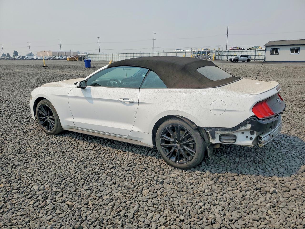 2019 FORD MUSTANG