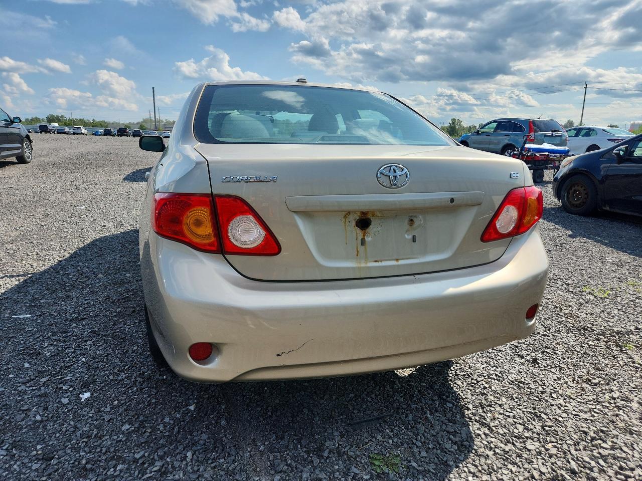 2010 TOYOTA COROLLA