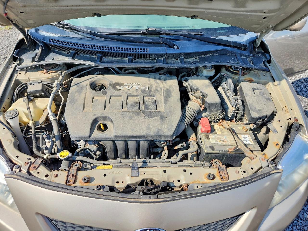 2010 TOYOTA COROLLA