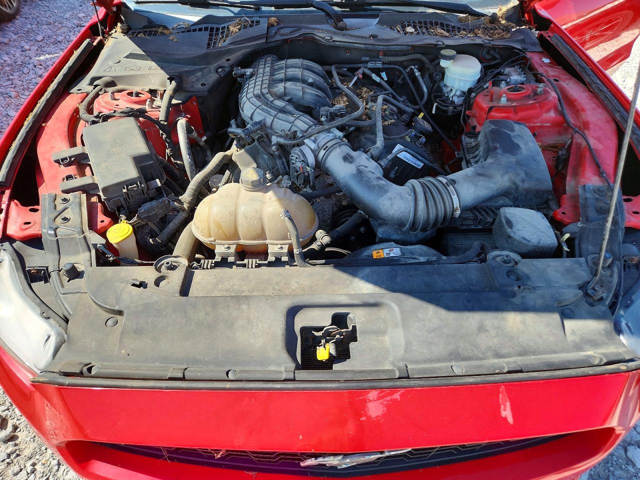 2015 FORD ALL Models