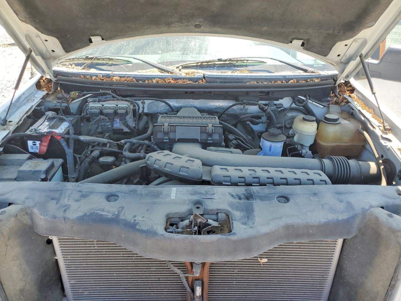2006 FORD F-150