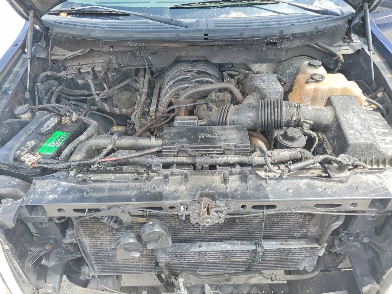 2010 FORD F150