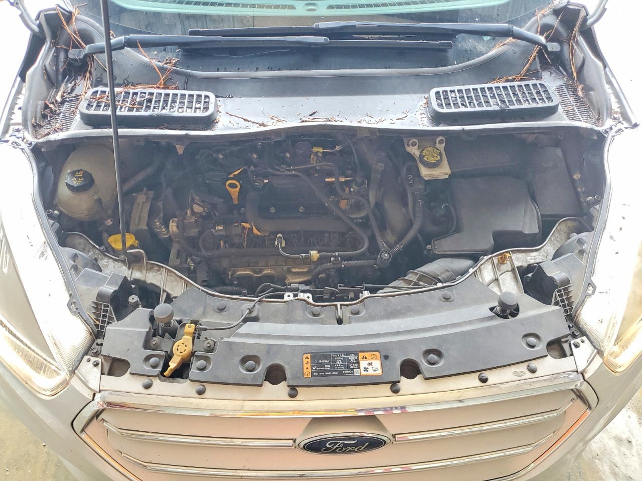 2019 FORD ESCAPE