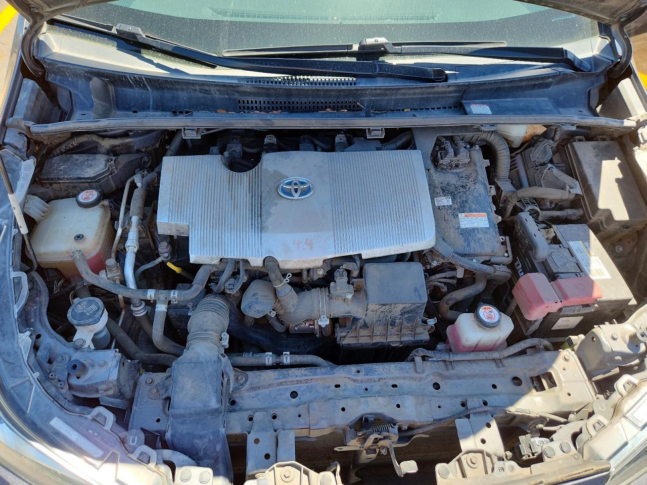 2019 TOYOTA PRIUS