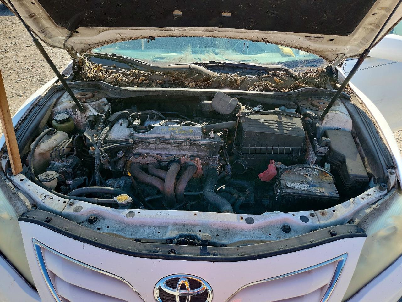 2010 TOYOTA CAMRY