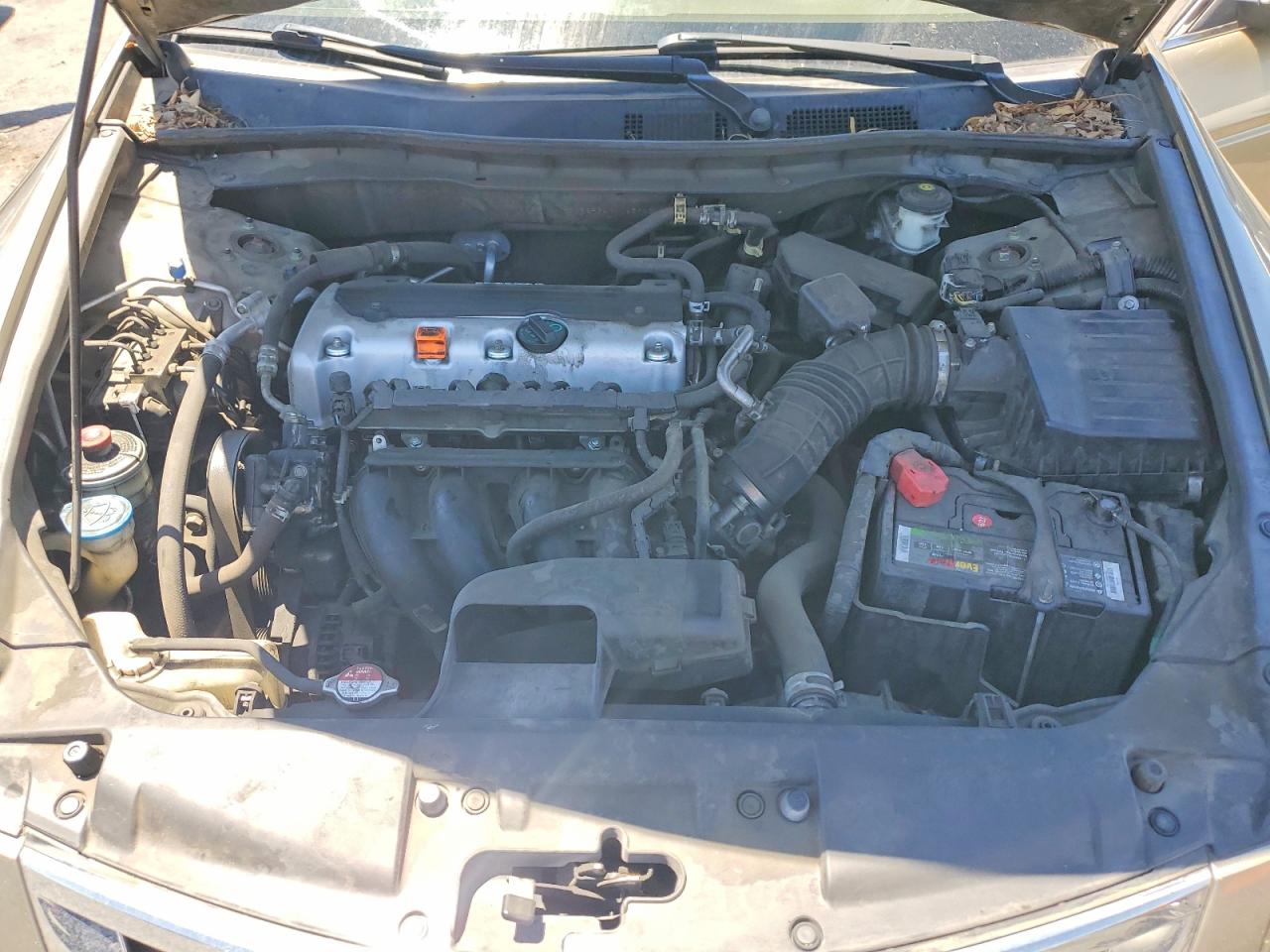 2010 HONDA ACCORD