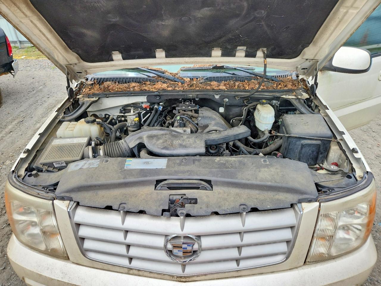 2005 CADILLAC ESCALADE