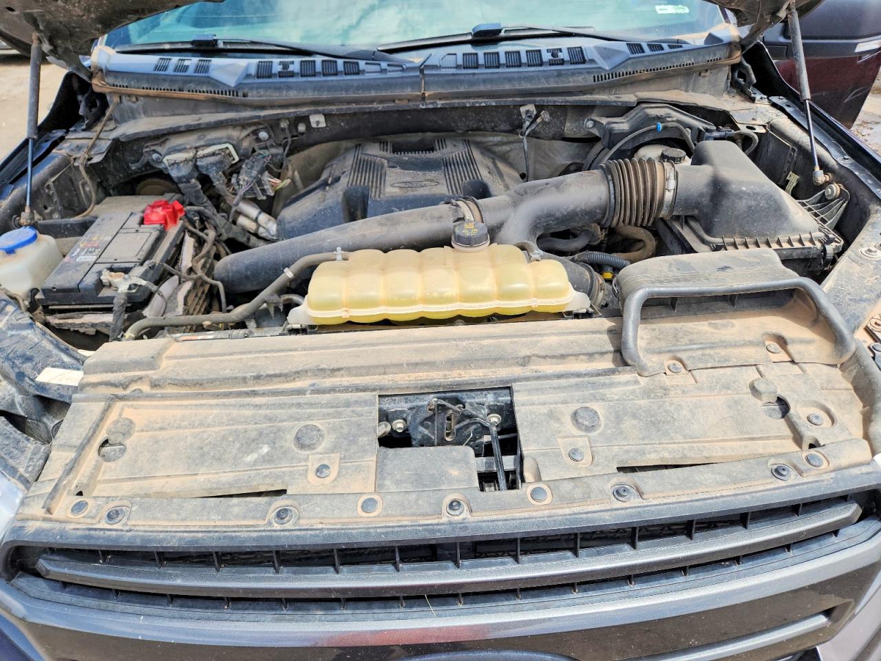 2019 FORD F150