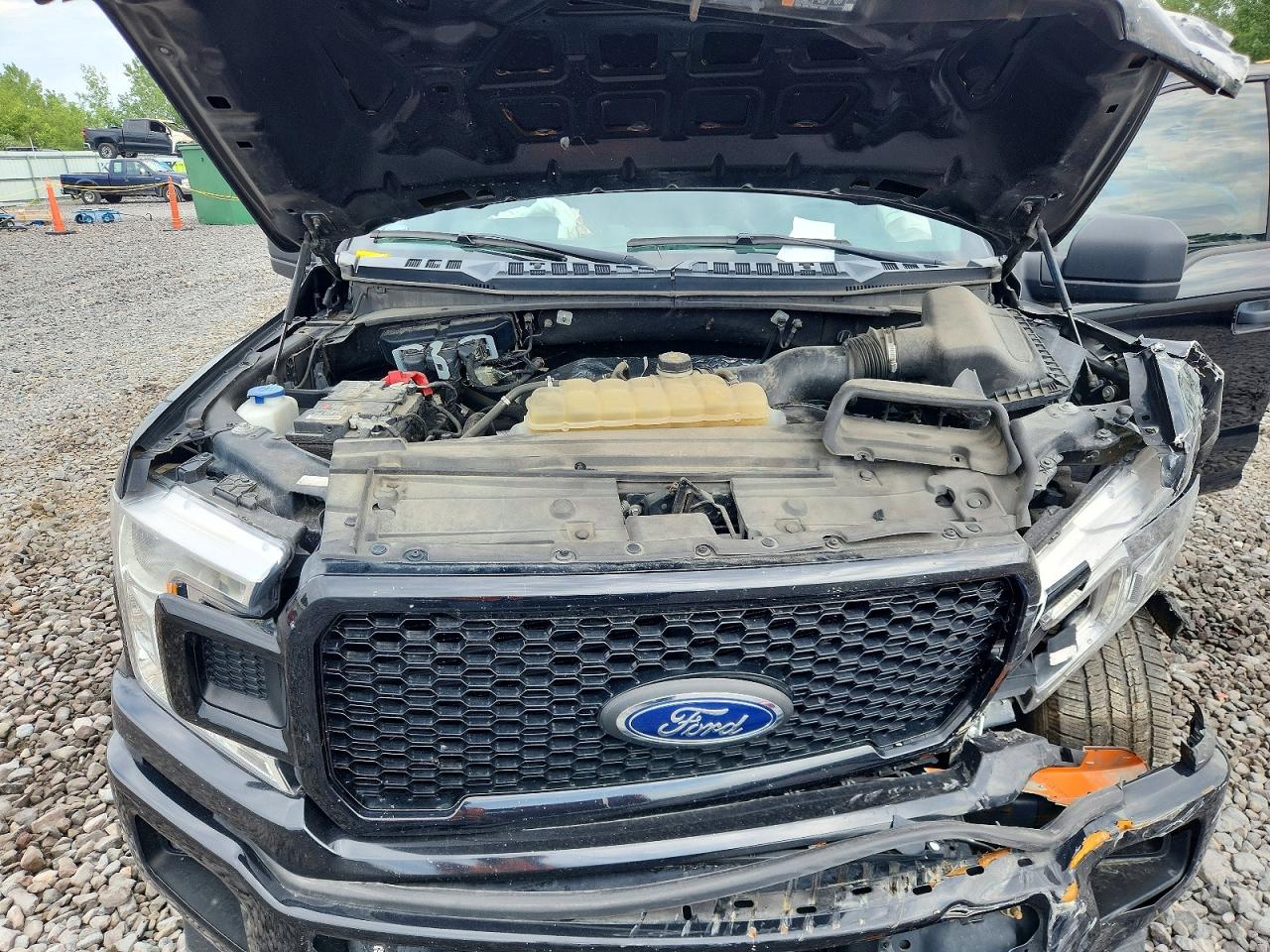 2019 FORD F150