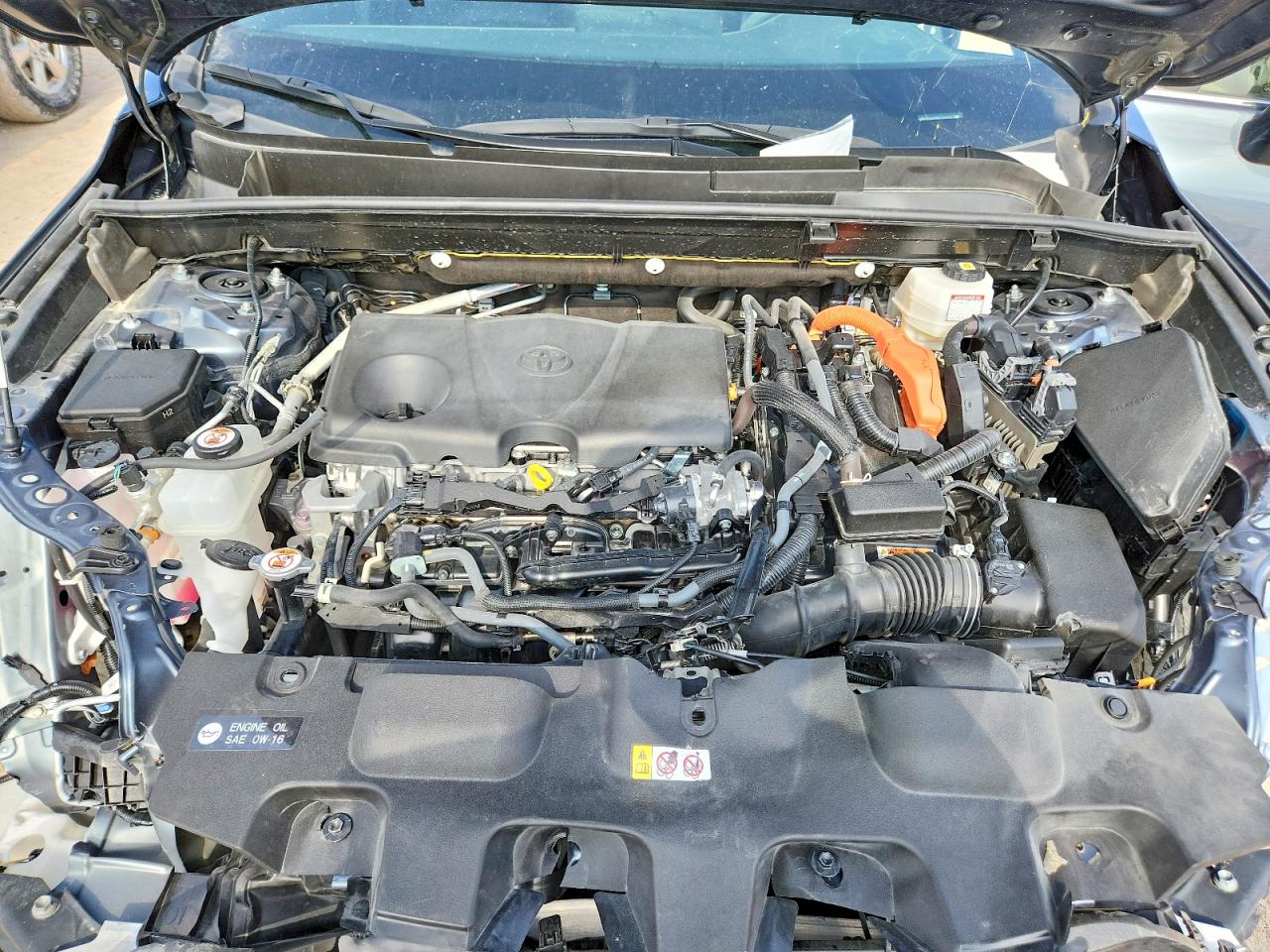2024 TOYOTA VENZA