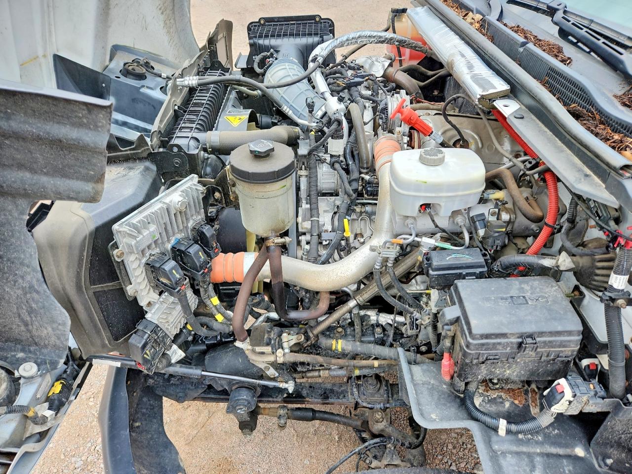 2024 CHEVROLET SILVERADO