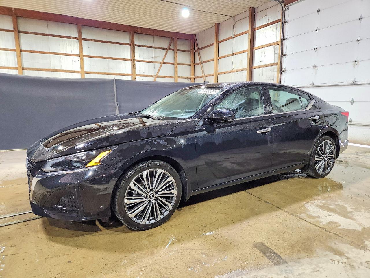 2025 NISSAN ALTIMA