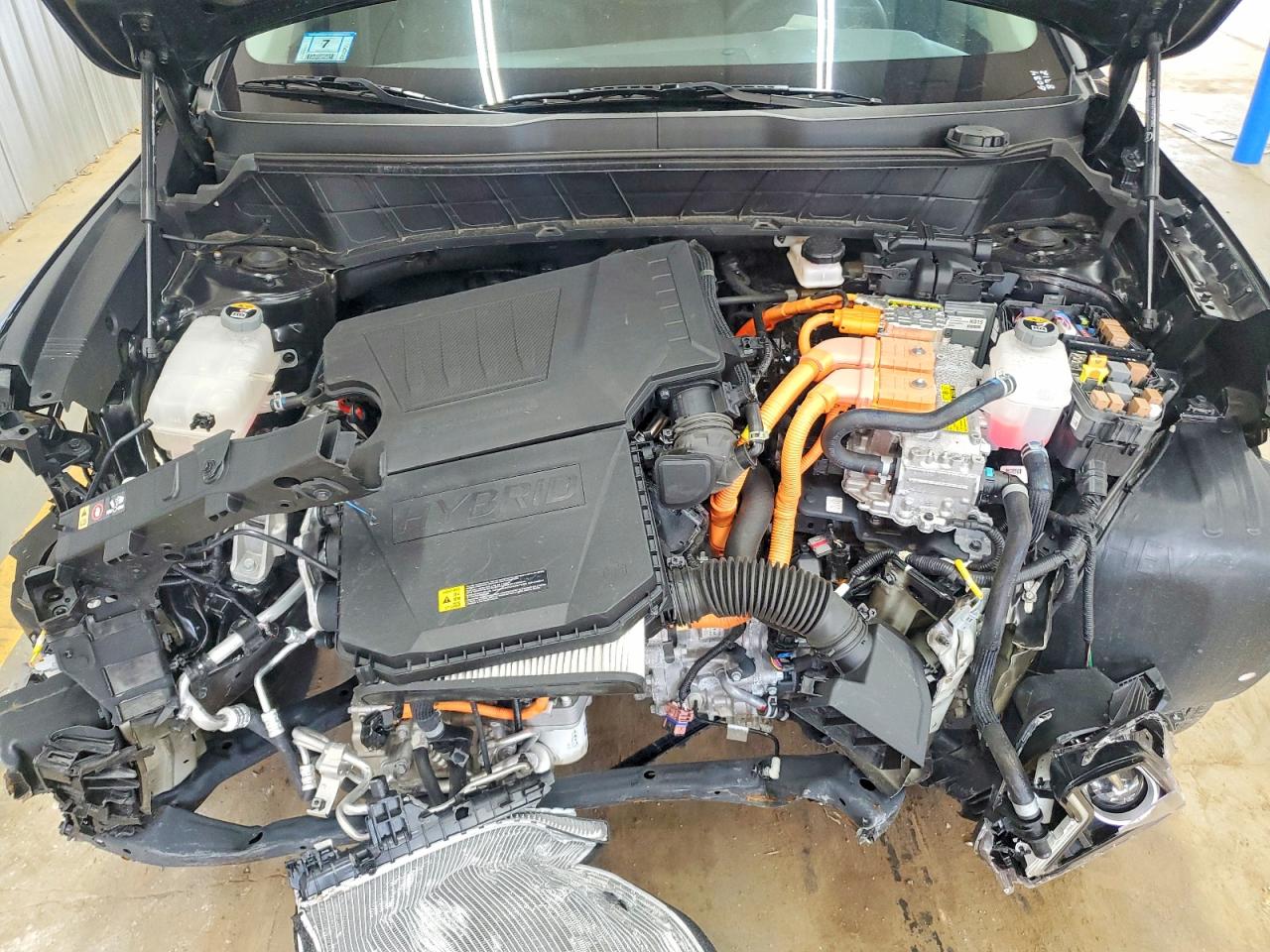 2025 KIA NIRO