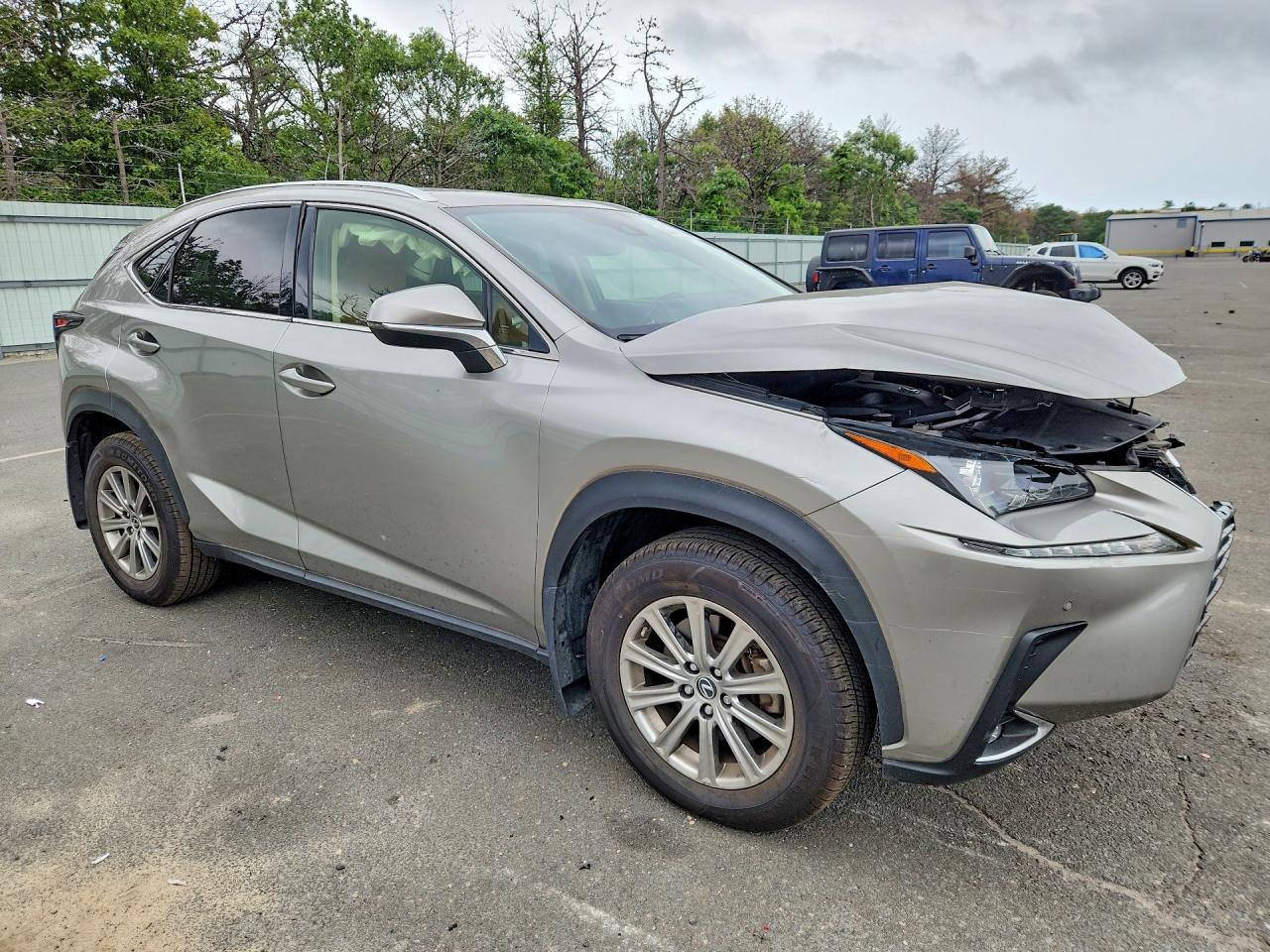 2020 LEXUS NX