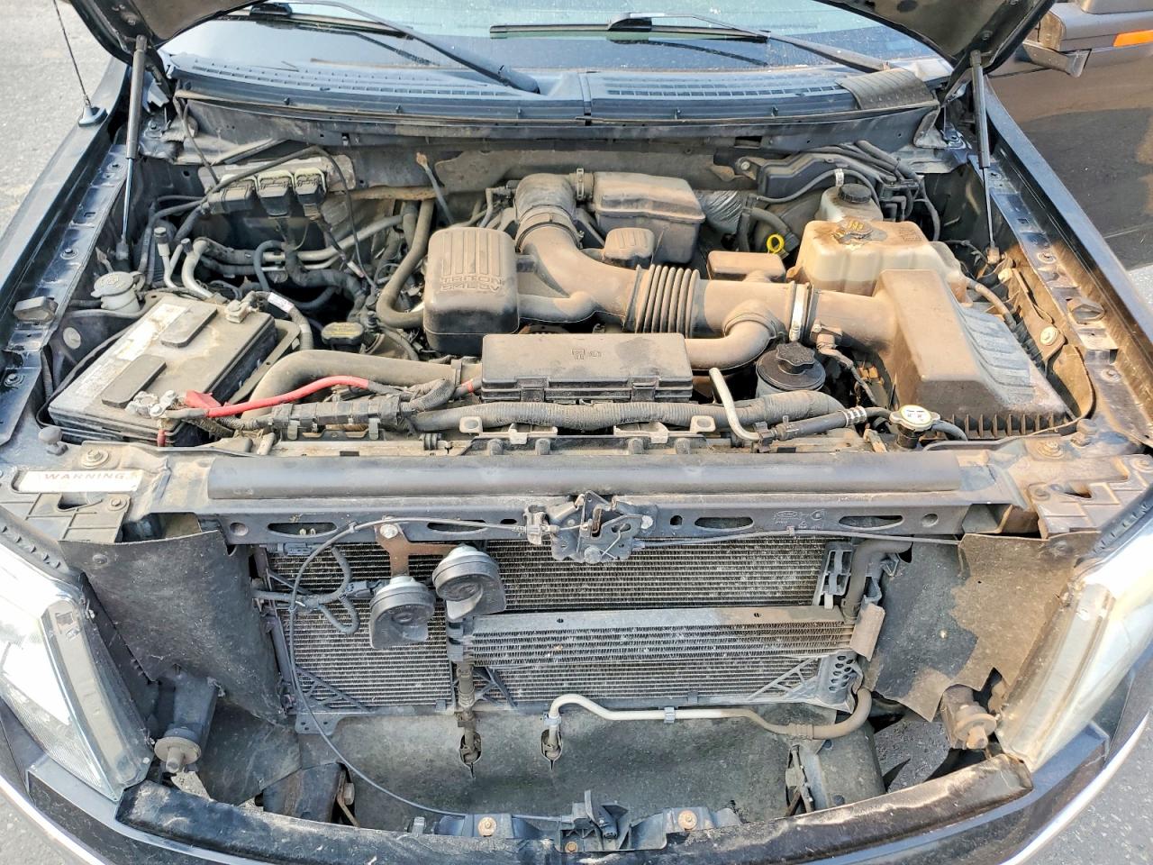 2010 FORD F150
