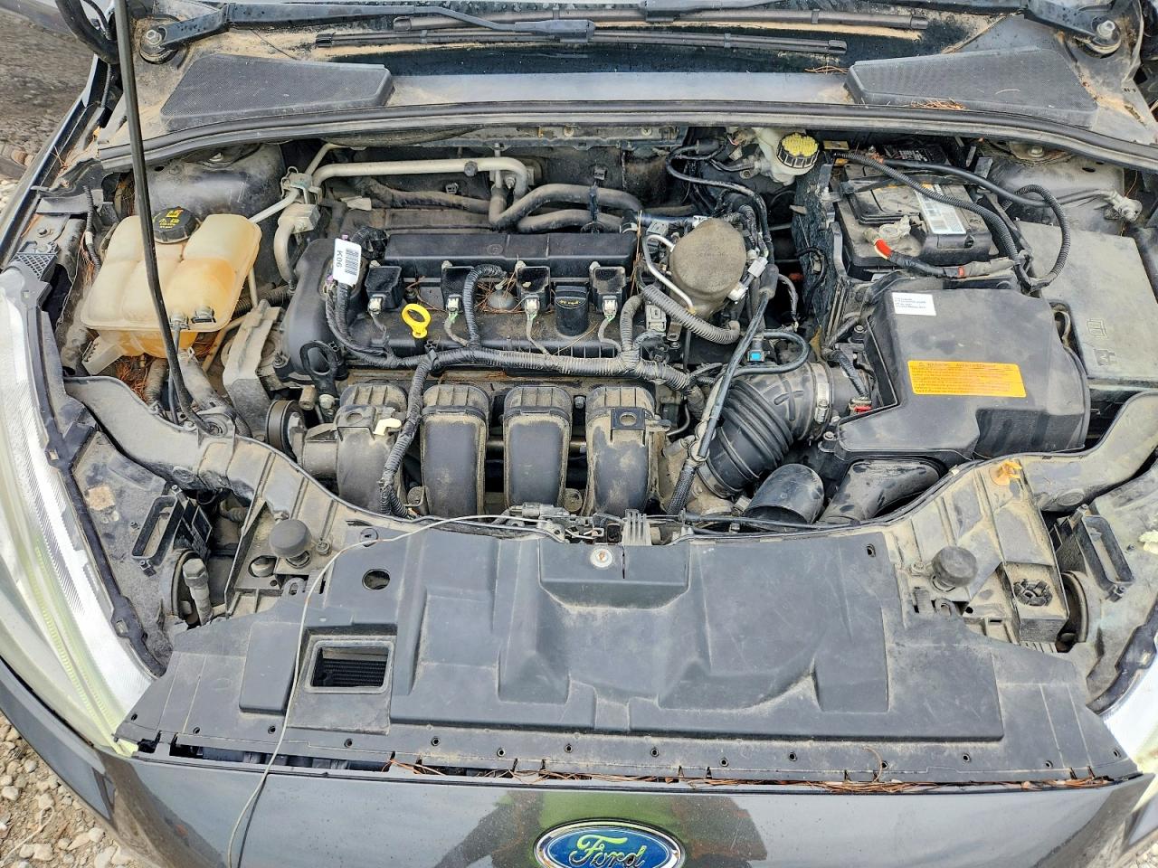 2016 FORD FOCUS