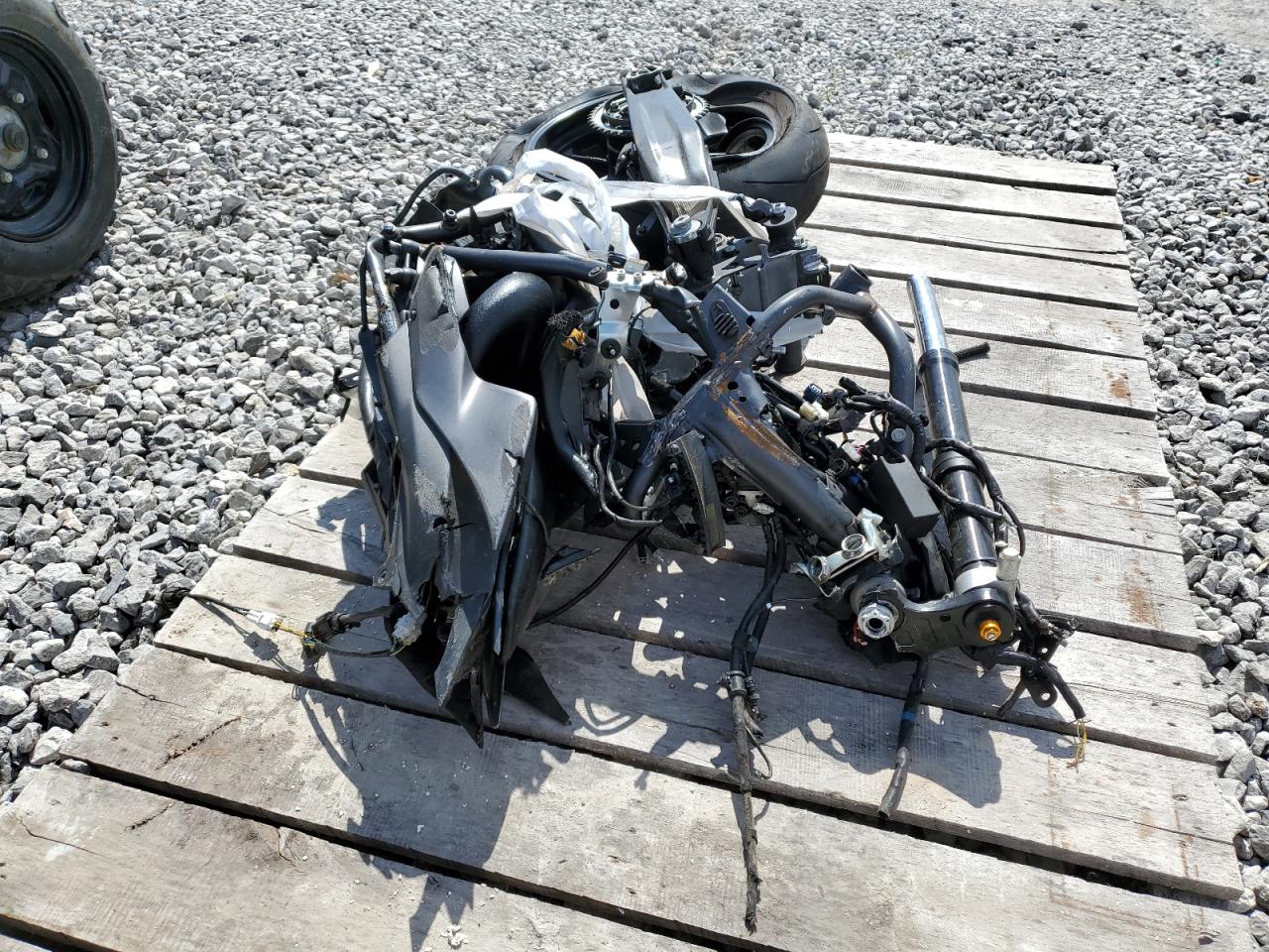 2024 YAMAHA YZFR7