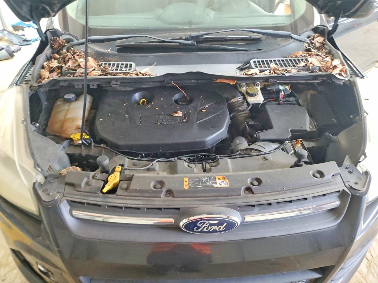2013 FORD ESCAPE