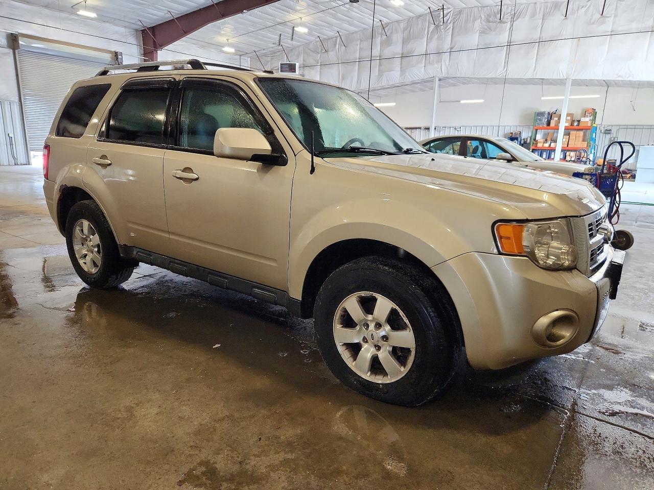 2010 FORD ESCAPE