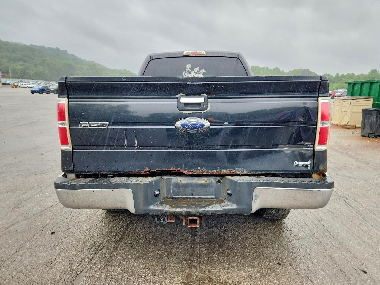 2010 FORD F150