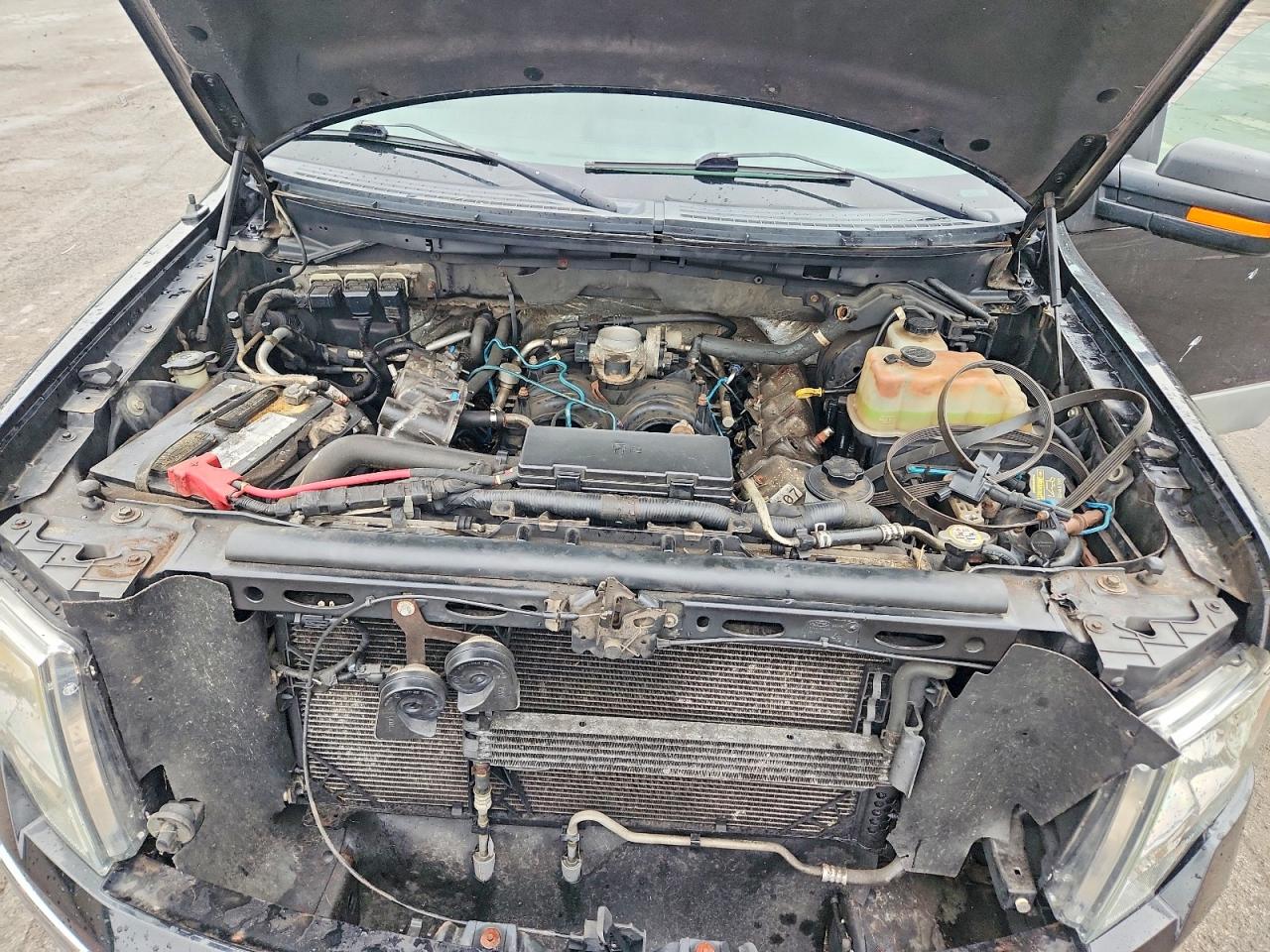 2010 FORD F150