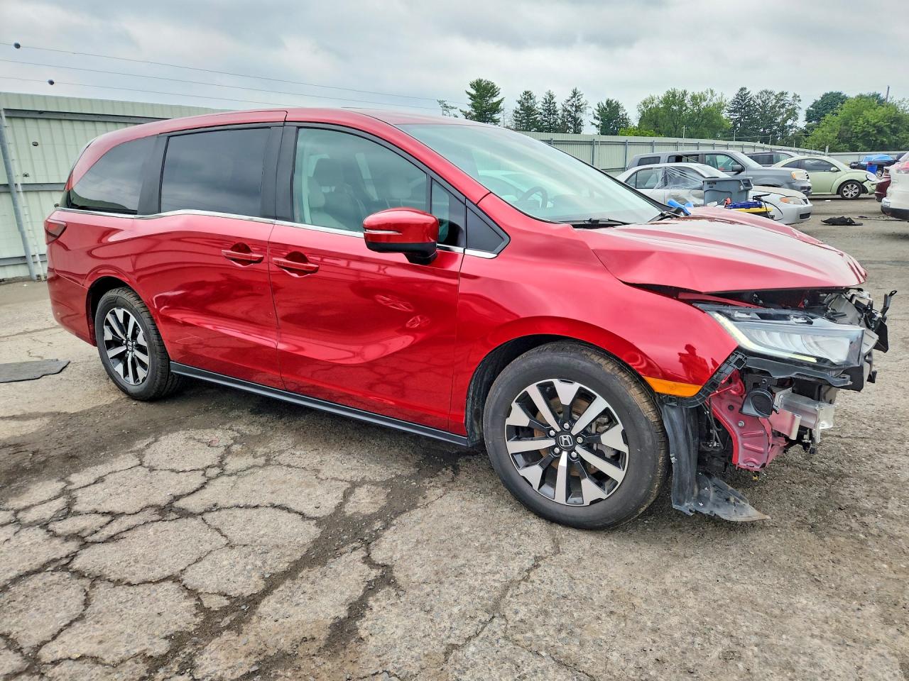 2025 HONDA ODYSSEY