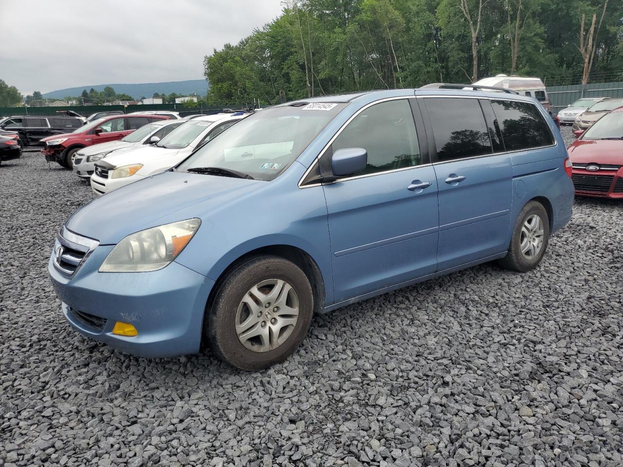 2006 HONDA All Models
